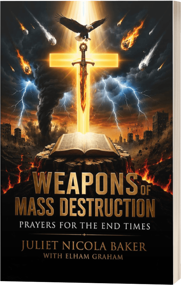 Weapons of Mass Destruction E-Book Mockup